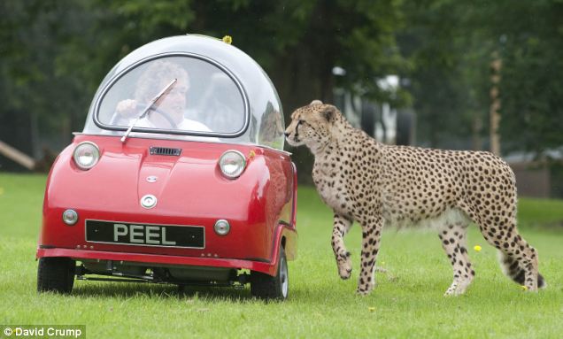 Ӣ���οͼ����ݳ����Ա�Ϯ��