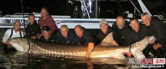 ������������� �������ޱ�_����Ȥ��