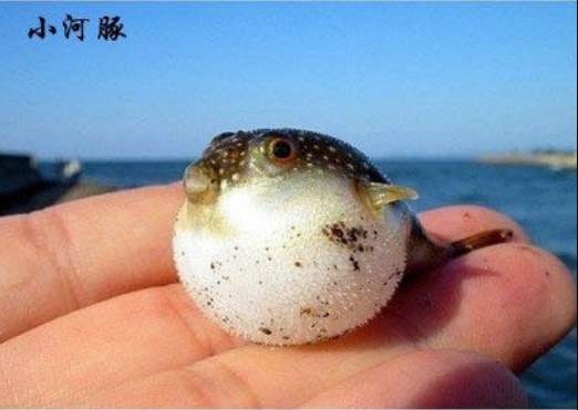 ����ոճ���ʱ������� ������𣿣�ͼ��