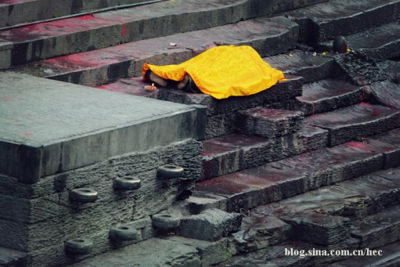 �Ჴ�����˿ֲ��Ļ��ᡪ��������