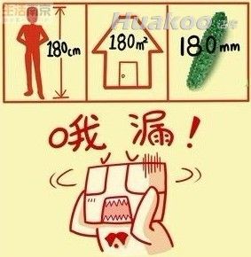 ˲���׵�����������