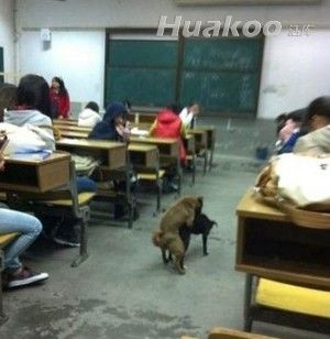 ��Ʒа��ͼ ̫���ˣ��׵���Ѫ��Ȥͼ��