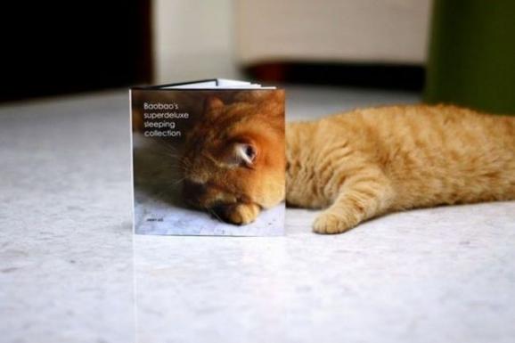 ���Ⱞ��� ��񿪷ŵ����� ��ЦͼƬ