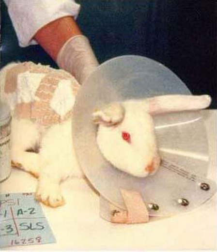 ���أ��Ҳ��̶õĶ���ʵ�����Ƭ��ͼ��