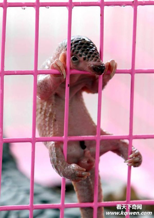 ʵ�Ķ�����Ȥ˲�䣬�ȷ���