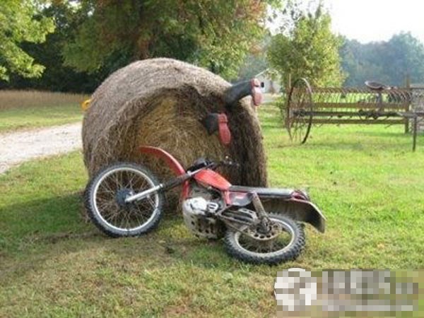 ������Լ�е�ţ��ţͼ