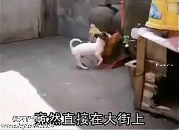 ��ɫС�������컯�����Ｆ(��ͼ)