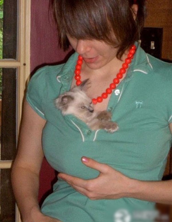 ��Ů������������ĳ����˹���ͼ�� ������ذ�(��ͼ)