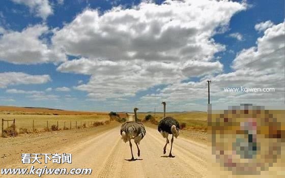 ��Ϊ���ޣ��ҵ�ѹ��Ҳ�ܴ�