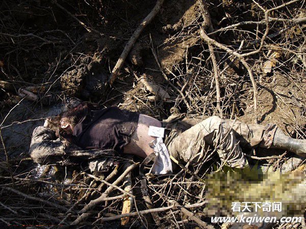 ����Ͷ4�ֵ�ҩը�ٿֲ����ӱ����� ʬ���������(ֱ����ͼ57P)