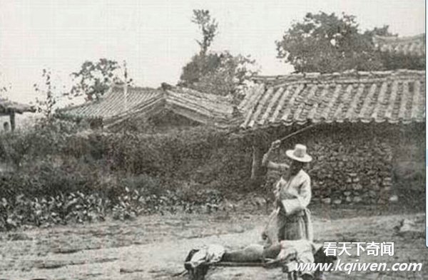 ʵ�ĸ����Ŵ��ѿ��Ӵ�ƨ�ɵ������ֳ� ��û���ϵ��̷�(��ͼ20P)